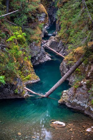The emerald green water of Little Qualicum Falls carves its way through the gorge.