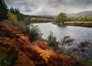 10 Days in Scotland during Autumn means incredible colors in Cairngorms National Park on a Scotland road trip.