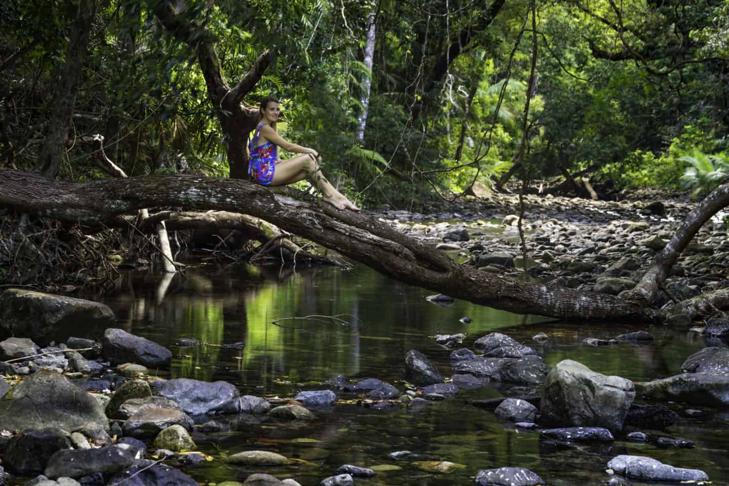A girl sat on a fallen tree over a stream in the Daintree Rainforest