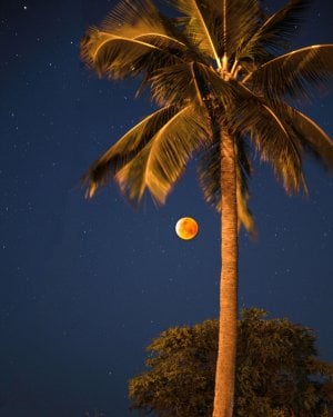Kauai Night Photography of a moon rise from Polihale State Park.