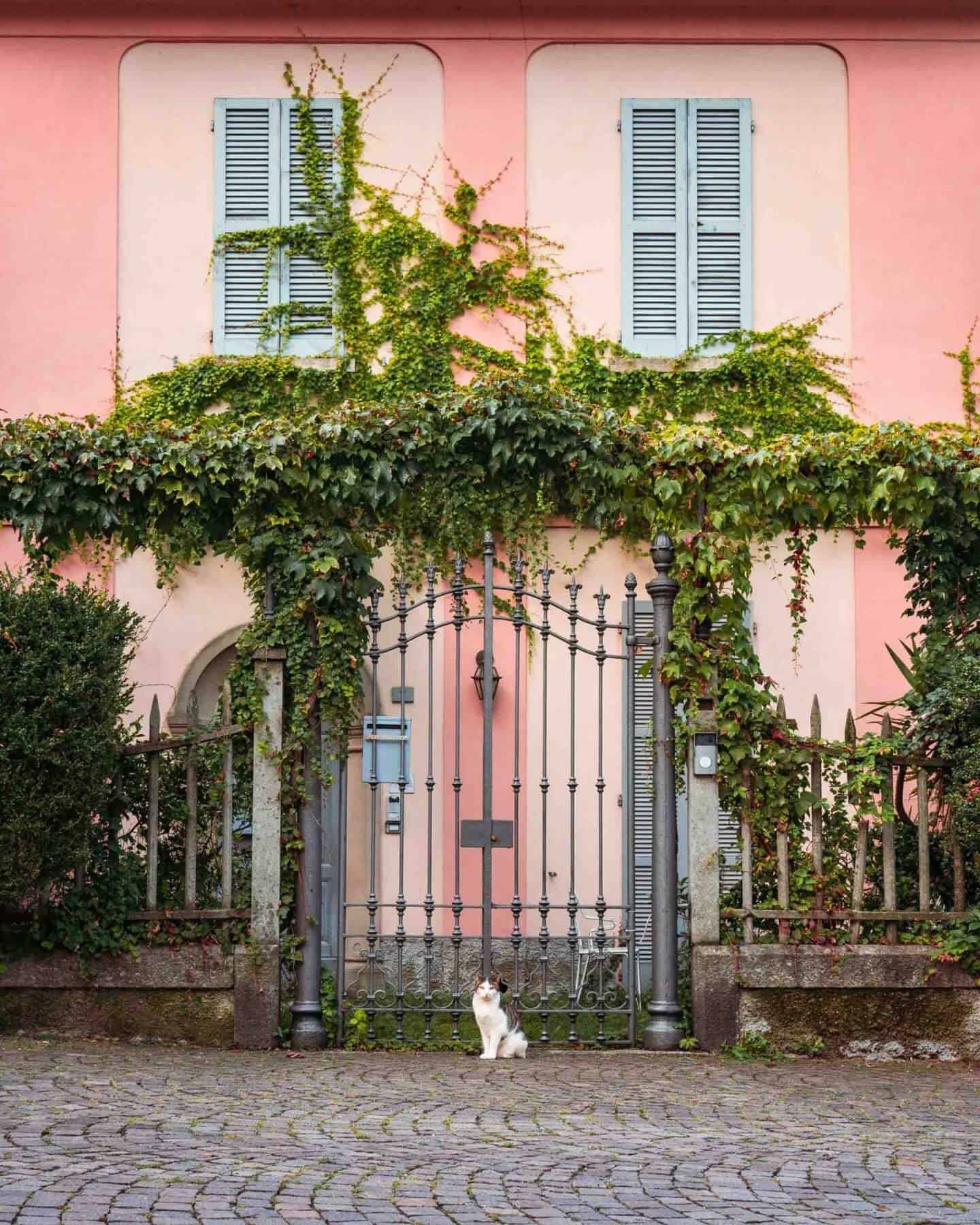 Cat in front of a gate at Piazza San Giorgio, Varenna, Lake Como.