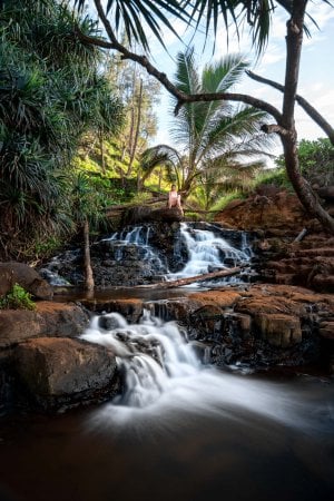 Tropical waterfall photography from Queens Bath Kauai.