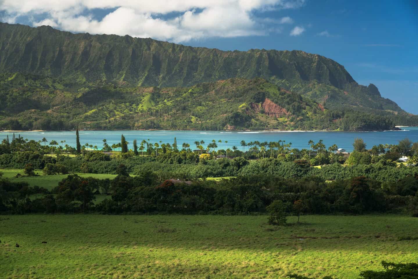 Tropical colors abound in the Hanalei Valley near Princeville.