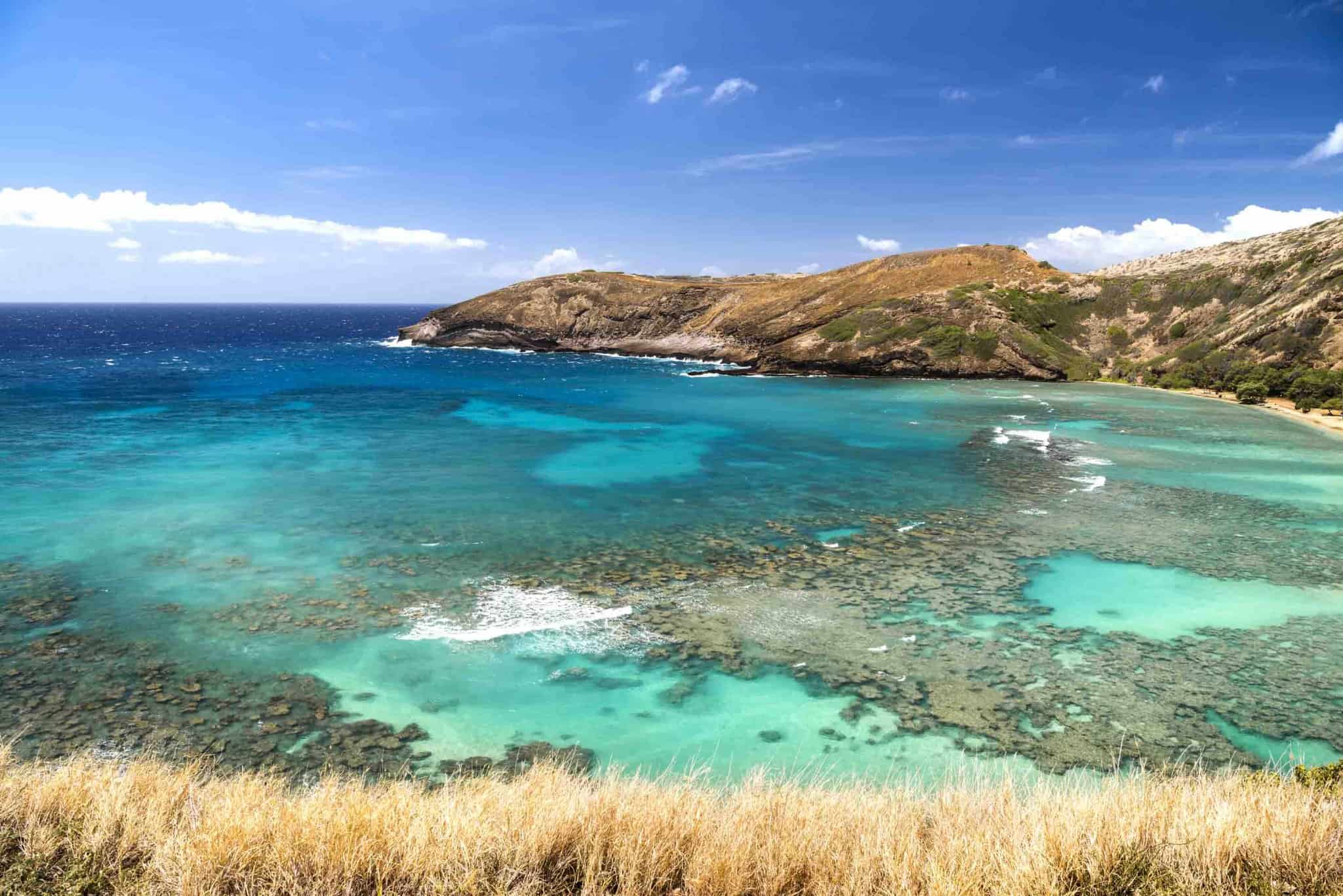 🏝 Maui vs Oahu: Which to Choose for Your First Visit in 2023
