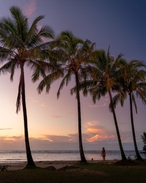 A palm tree row adds tropical vibes to the stunning colors of a Kauai sunset.