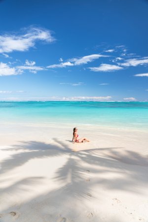 Sitting in the palm tree shadow of the most Instagrammable beach on Oahu.