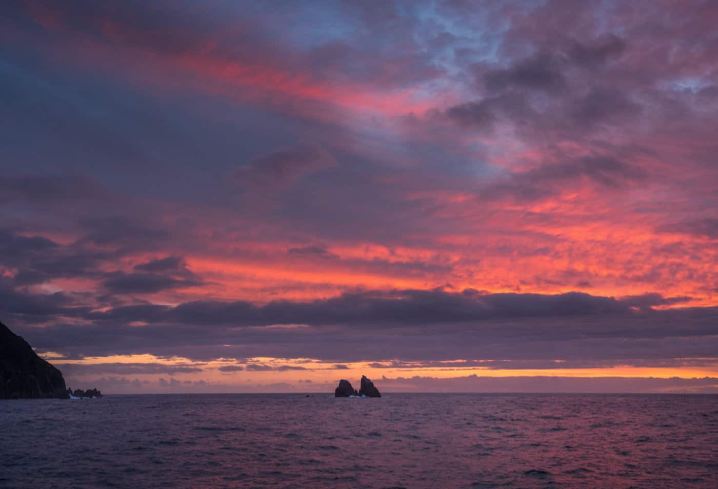 Our day of exploring the Doubtful Sound on our overnight cruise ended with an epic sunset.