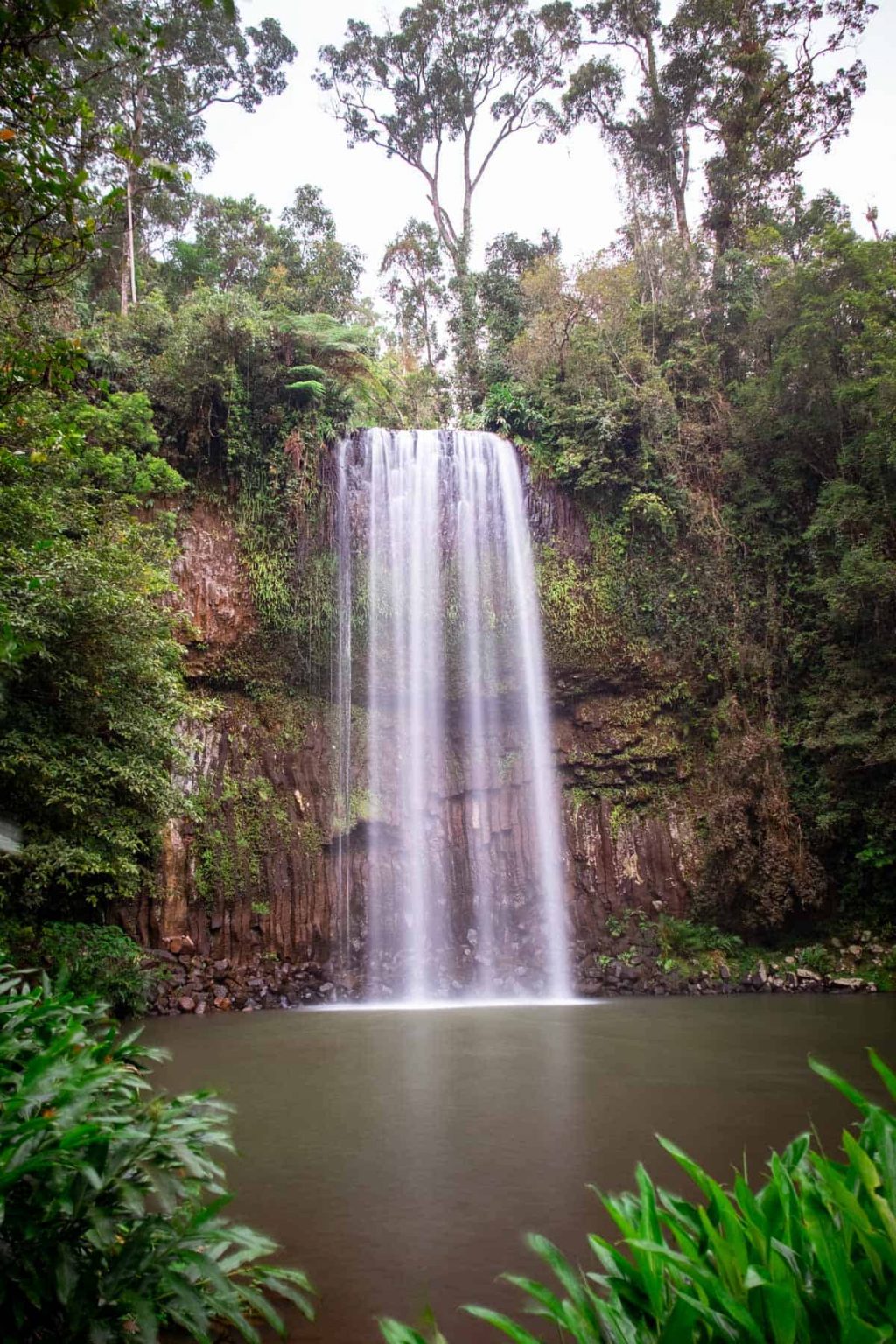 💦 33 Best Waterfalls Near Cairns for some Epic Day Trips