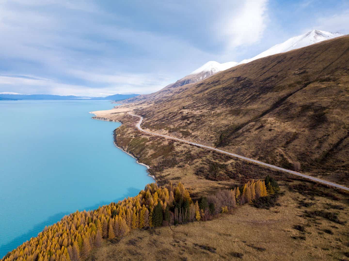 Autumn colors dot the roadside on our roadtrip around New Zealand by campervan.