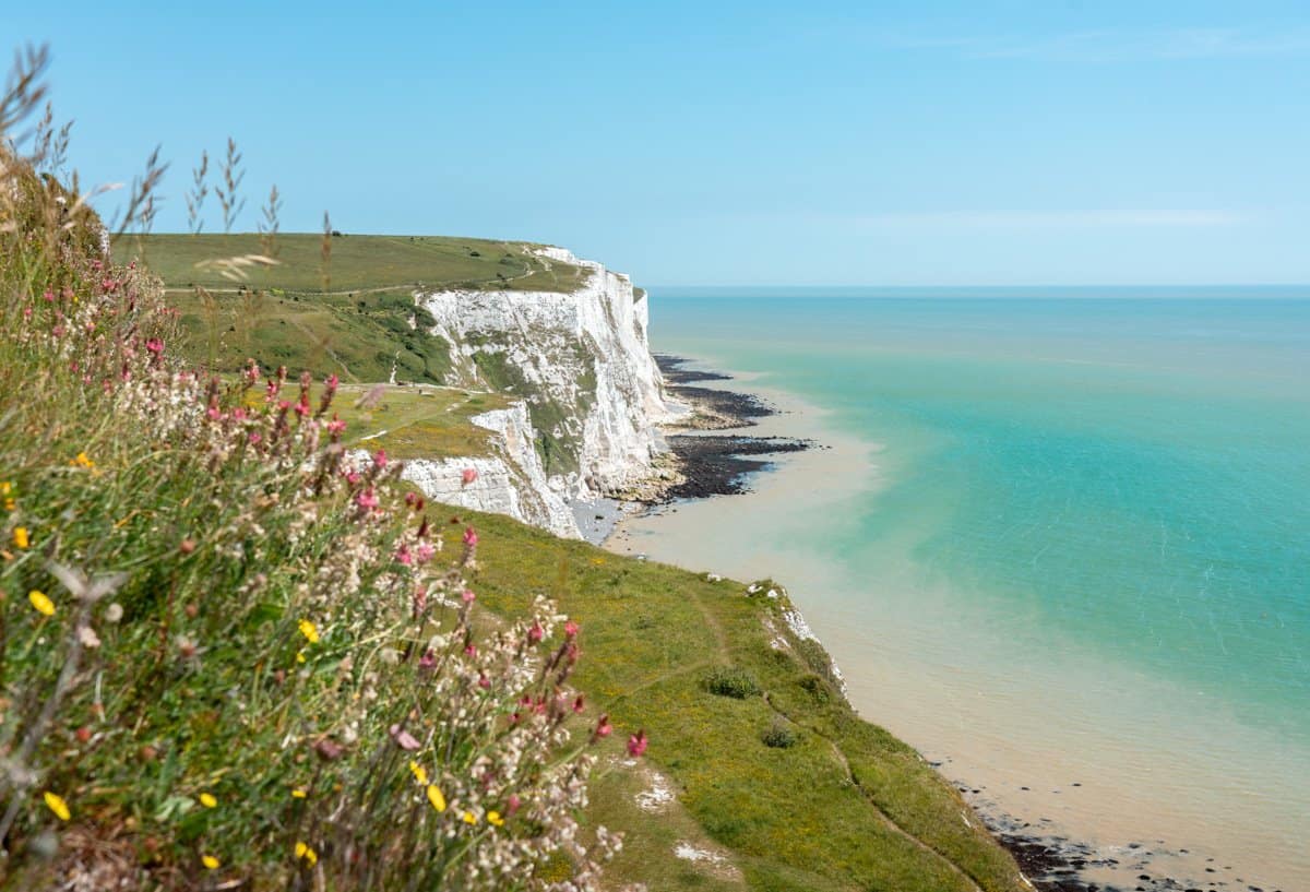 Wildflowers colour the foreground, with sweeping views across the grassland, the White Cliffs of Dover and azure waters of the English Channel