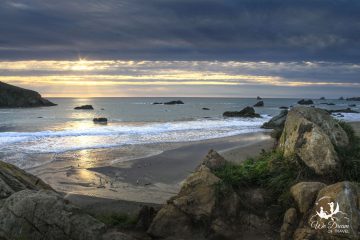 Golden Hour at Lone Ranch in Harris Beach State Park on the Oregon Coast