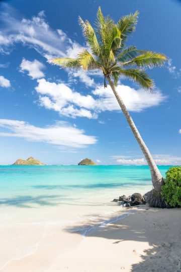 The postcard-perfect tropical paradise of Lanikai Beach, Oahu makes for a dream destination.