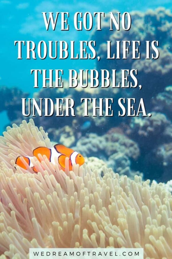 🌊 155 Beautiful Sea Quotes & Captions for Ocean Lovers (2024) ⋆ We