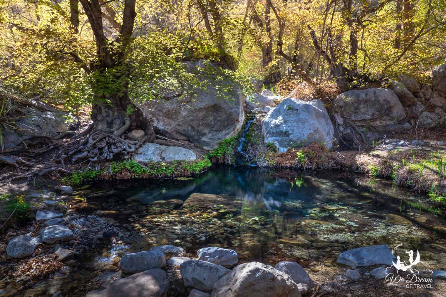 The short hike to Smith Spring was my favorite in Guadalupe Mountains NP.