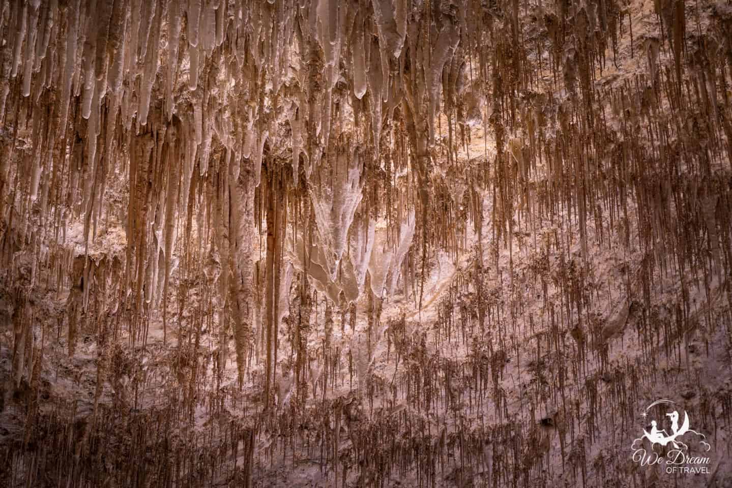 Delicate soda straw formations interspersed amongst stalactites.