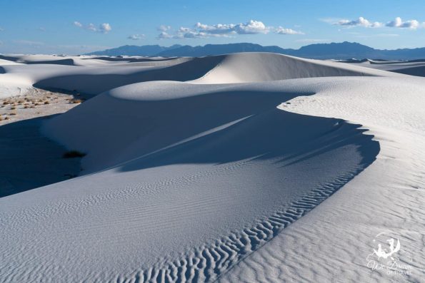  White Sands Photography Guide Best Spots Tips 2024 
