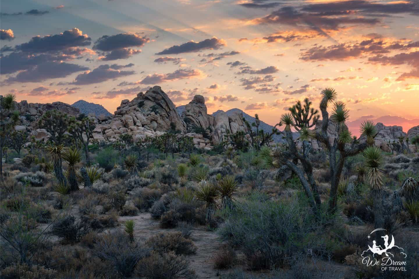 Landscape photography picture of Joshua Tree's Hidden Valley at sunrise.