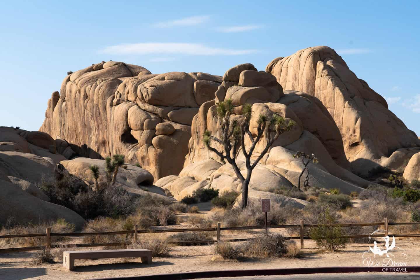 Picture of Jumbo Rock campground on a day trip to Joshua Tree.