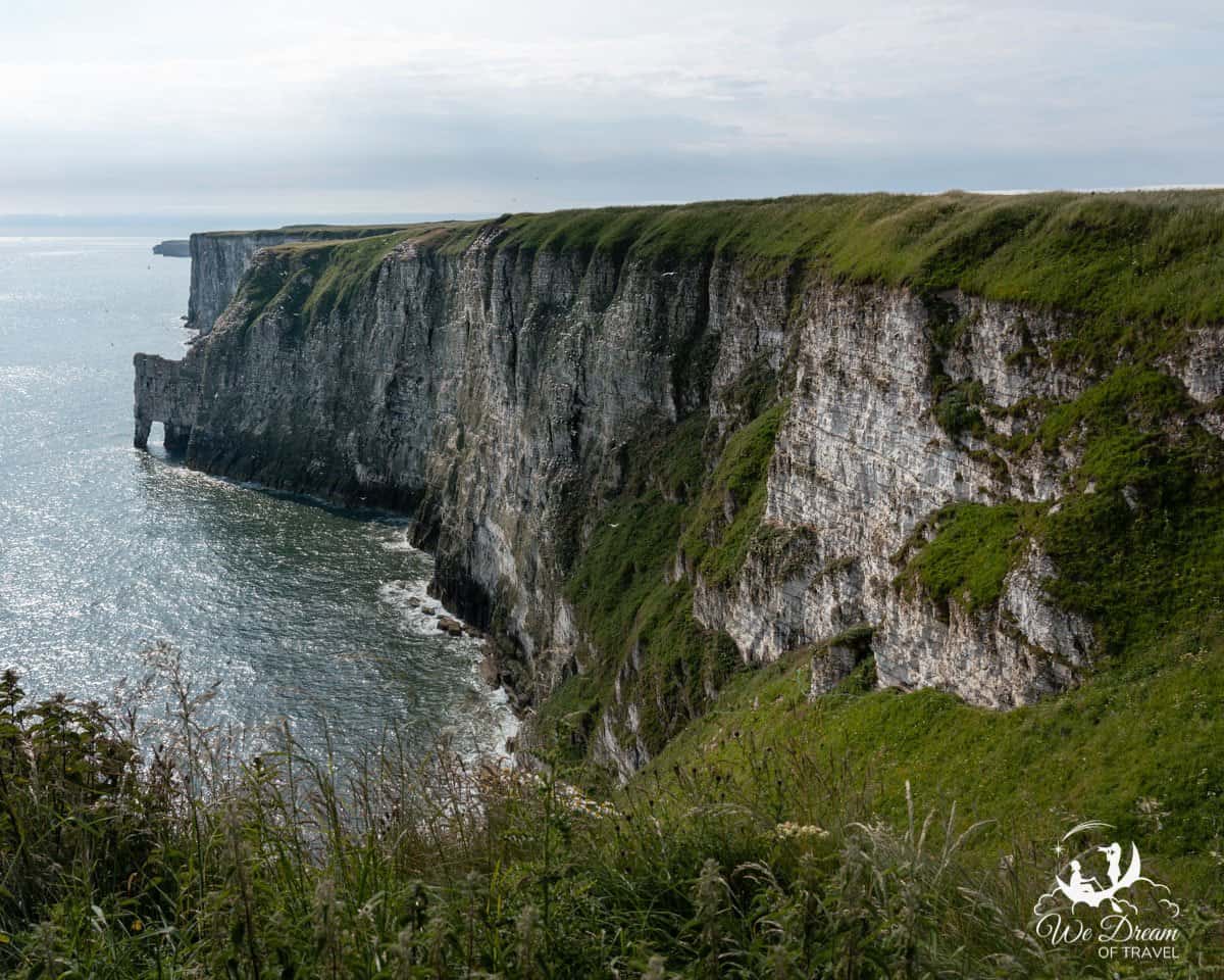 View of the chalk cliffs at RSPB Bempton from New Roll Up Viewpoint