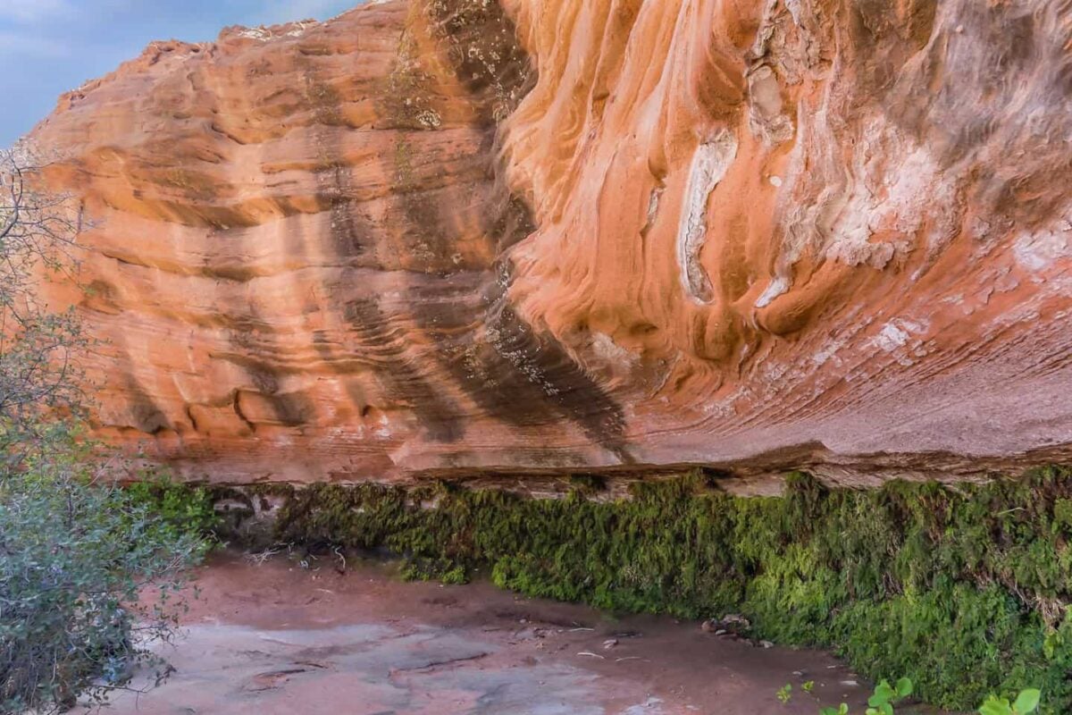 Hiking the Hanging Garden Trail is one of the best things to do in Page.