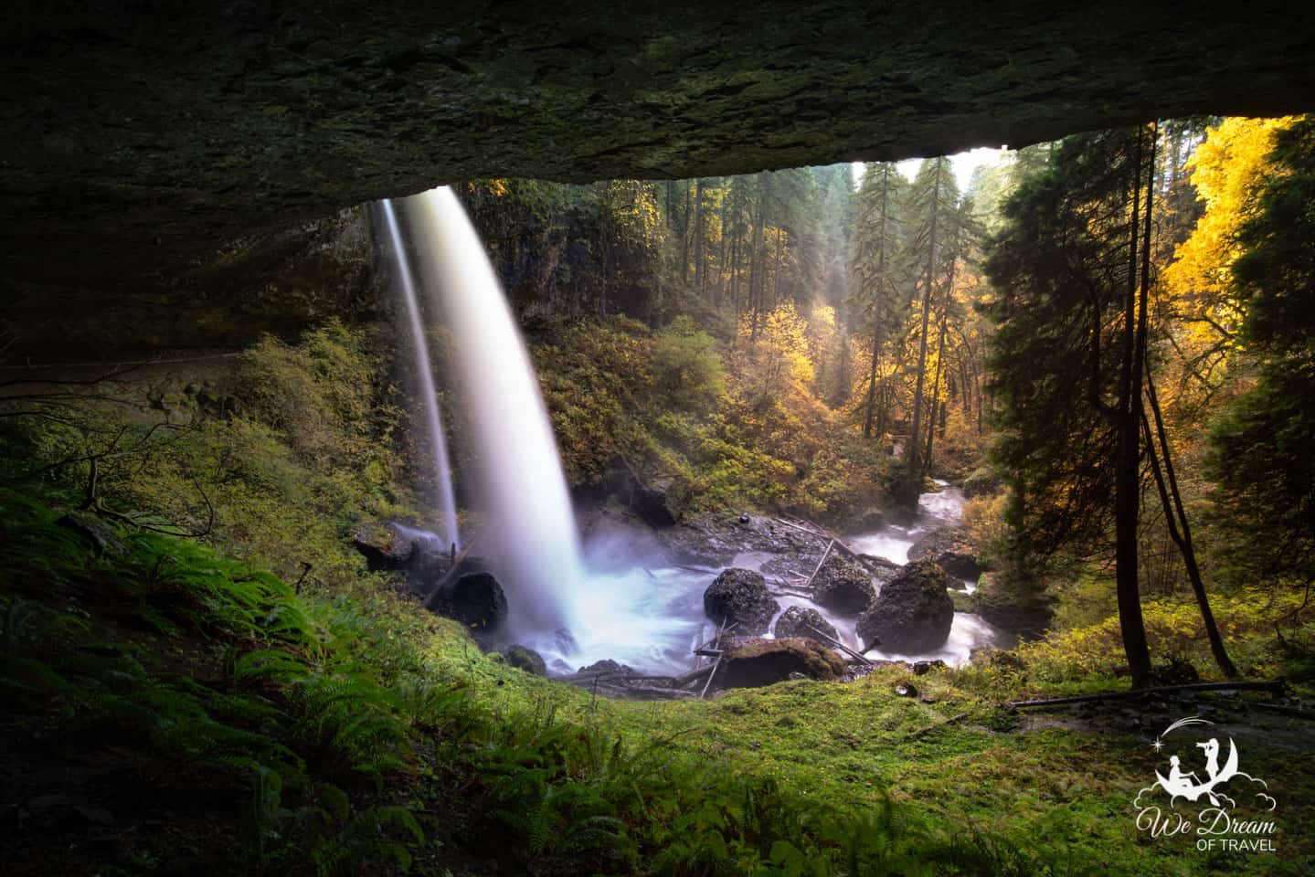 Silver Falls State Park: North Canyon Nature Play Area - Learning