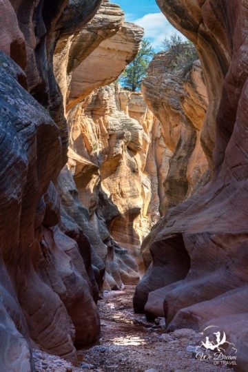Photography of one of the true hidden gems known as Willis Creek Slot Canyon in Utah.