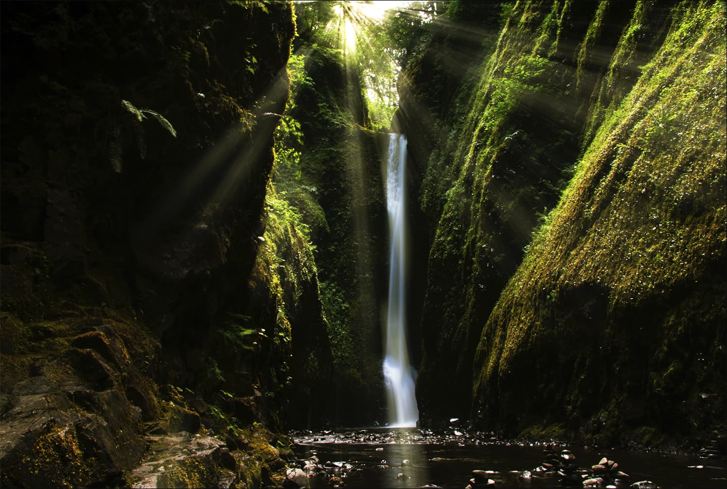 Afternoon light spills into Oneonta Gorge in Northern Oregon.