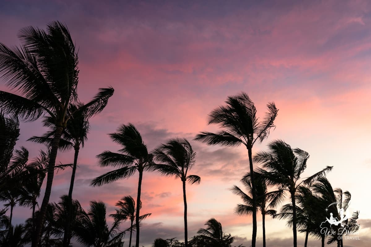 A colorful twilight sky in Hawaii with palm trees swaying in the breeze.