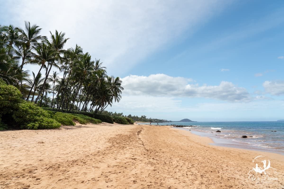 The south beach at Keawakapu Beach is a wide open area of golden sand, blue water, and green palm trees.