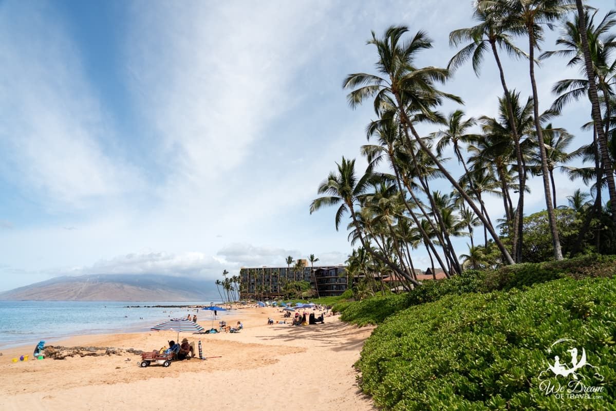 Palm trees tower over lush greenery at the entrance to Keawakapu Beach in Maui.