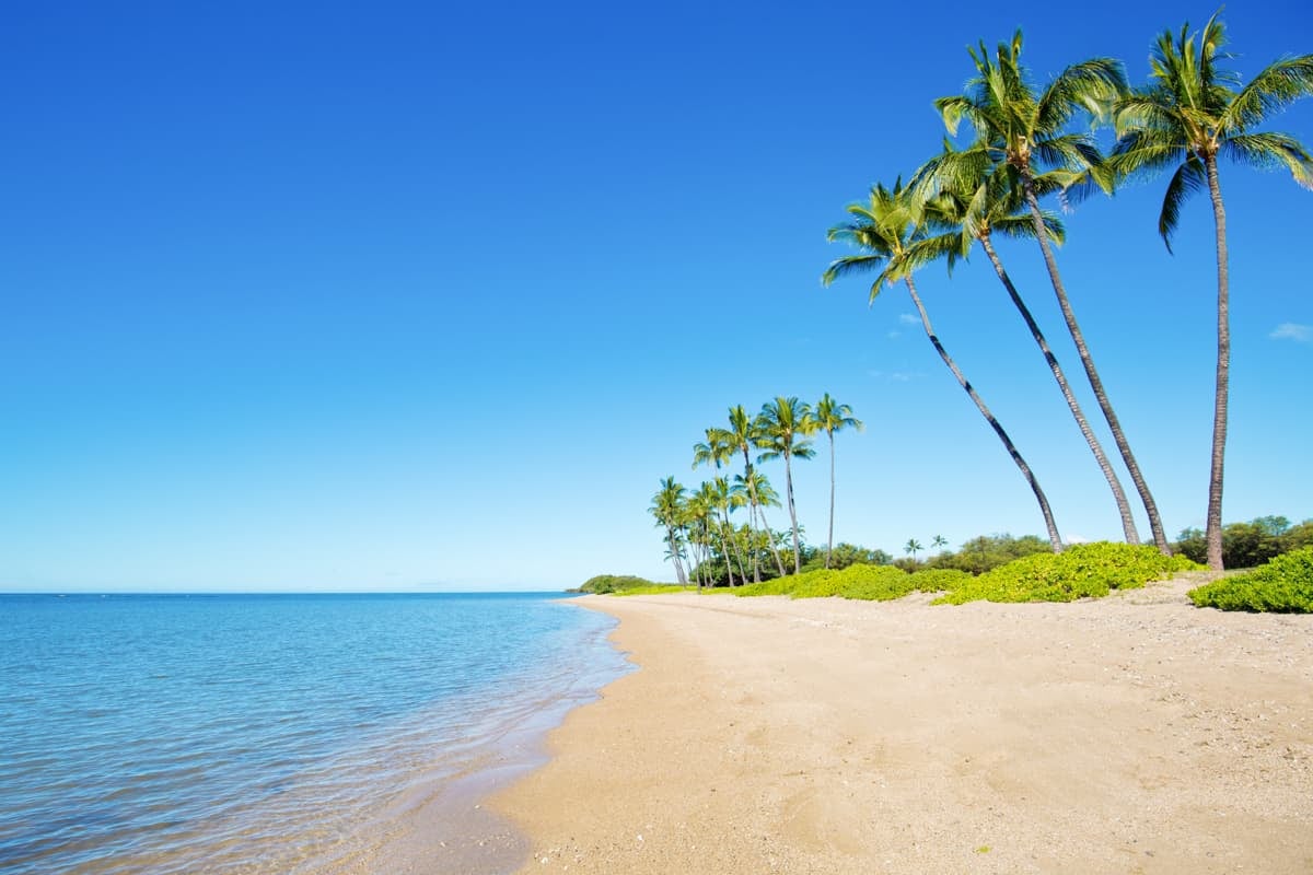 A tropical beach on Molokai Island showing turquoise waters, pale sand, and palm trees.