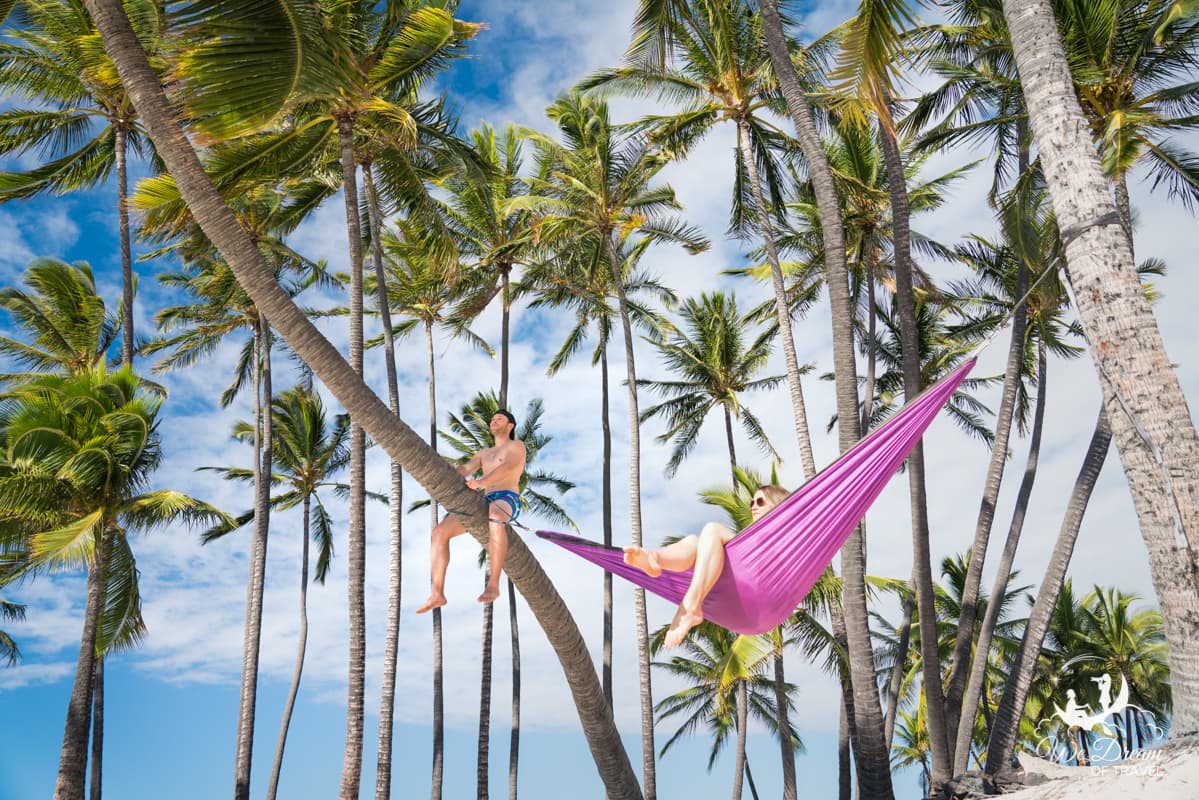 A couple hanging out in paradise amongst an array of tropical palm trees.