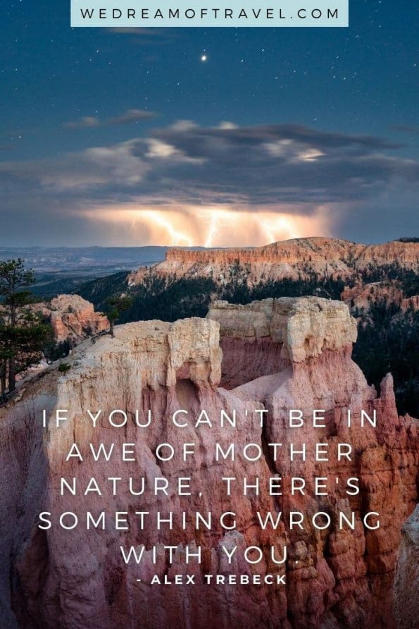 🌲 275 Best Nature Quotes & Captions Perfect for IG (2024) ⋆ We Dream of