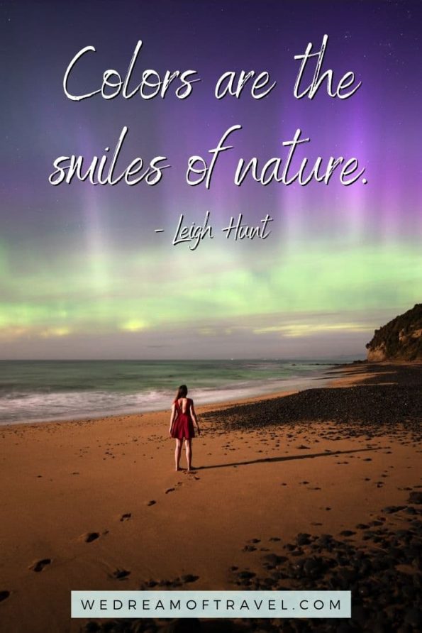 🌲 275 Best Nature Quotes & Captions Perfect for IG (2024) ⋆ We Dream of