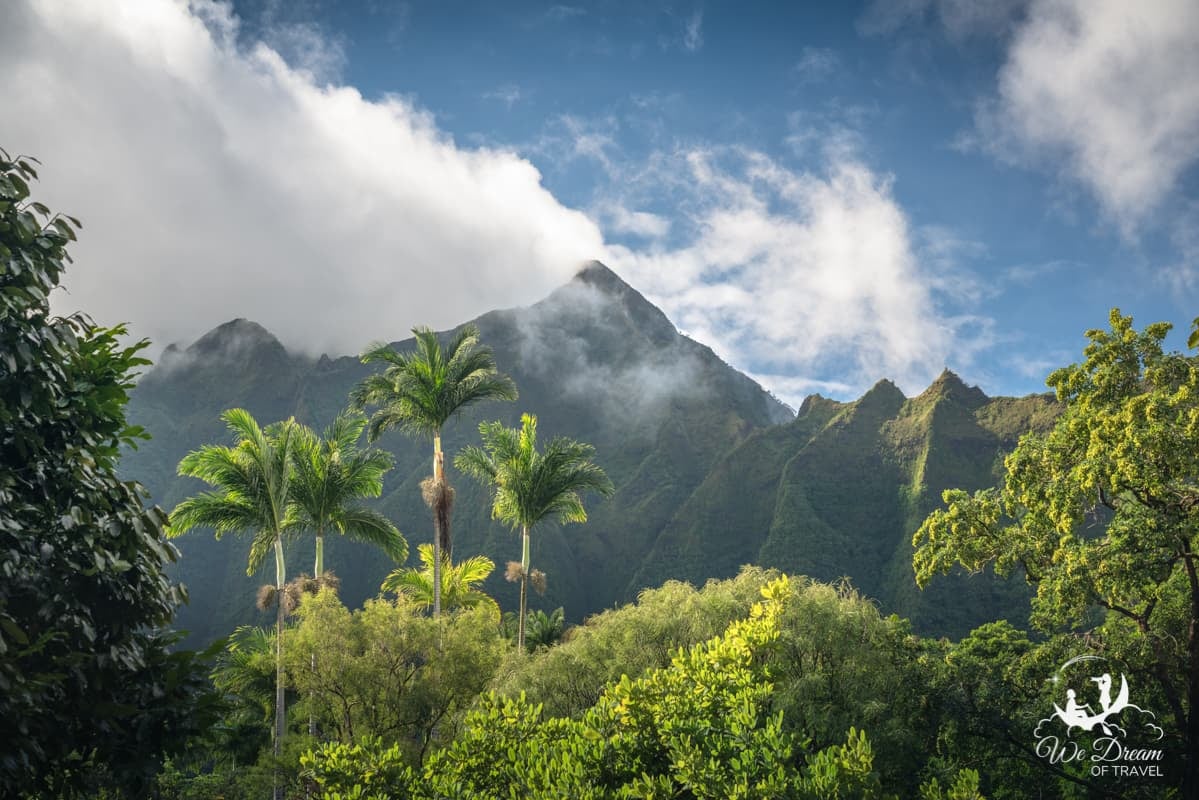 A landscape photo showing the greenery of Oahu from the Ho’omaluhia Botanical Garden.