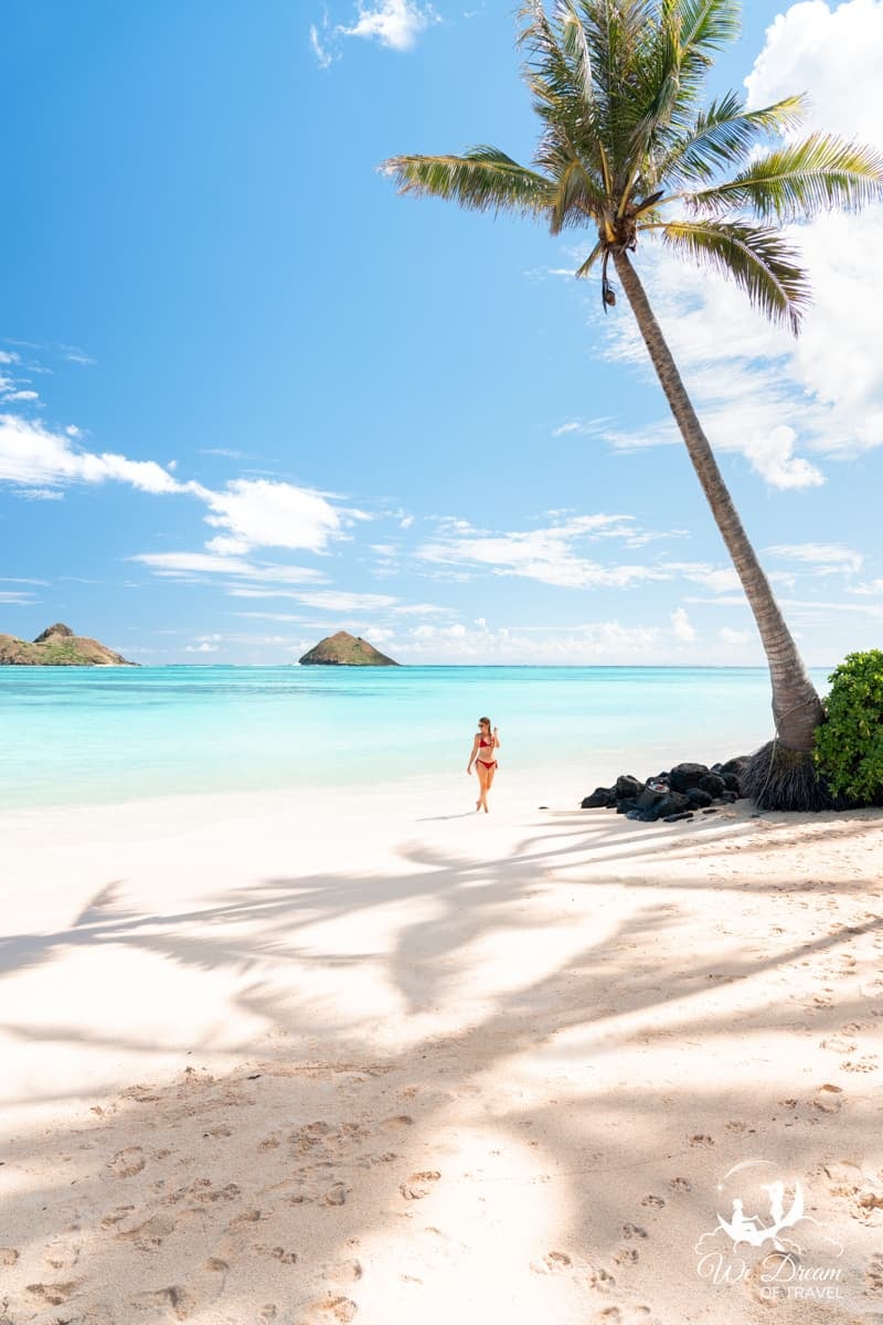 Sophie strolls the white sand beach of Lanikai Beach with palm tree shadows dancing at her feet and crystal clear water behind.