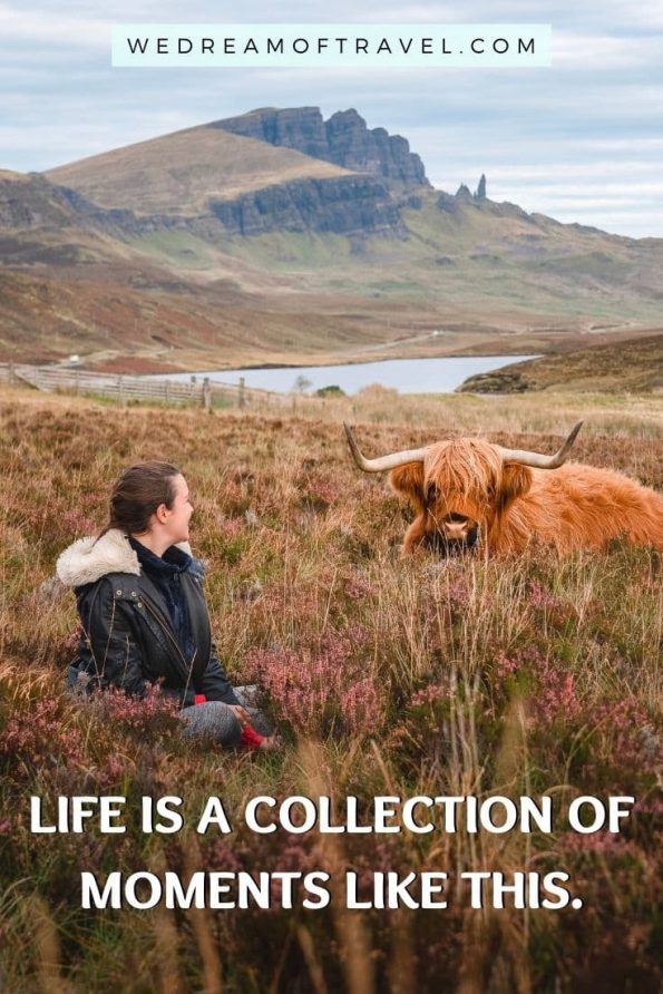 🌲 275 Best Nature Quotes & Captions Perfect for IG (2024) ⋆ We Dream of