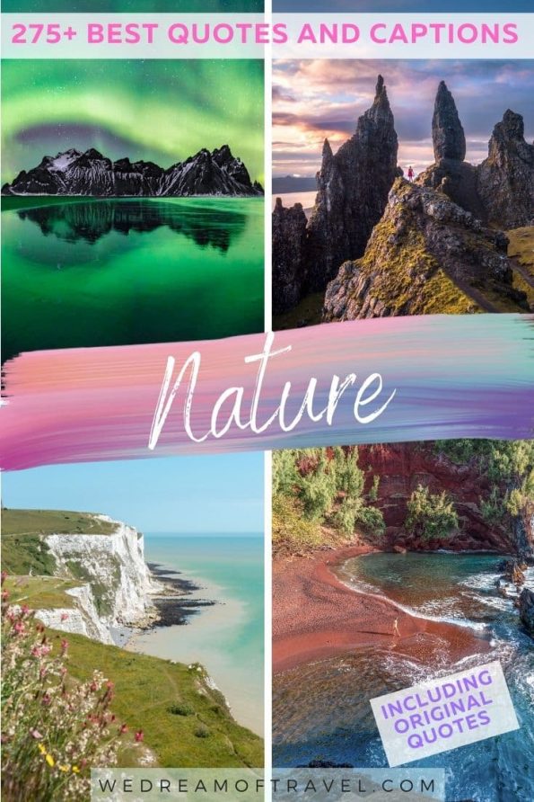 🌲 275 Best Nature Quotes & Captions Perfect for IG (2024) ⋆ We Dream of ...