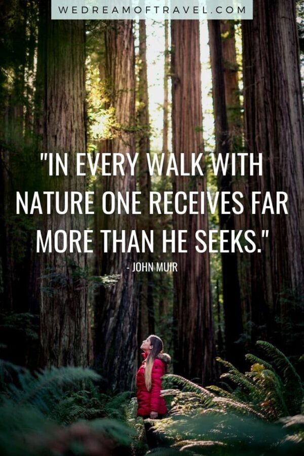 🌲 275 Best Nature Quotes & Captions Perfect for IG (2024) ⋆ We Dream of
