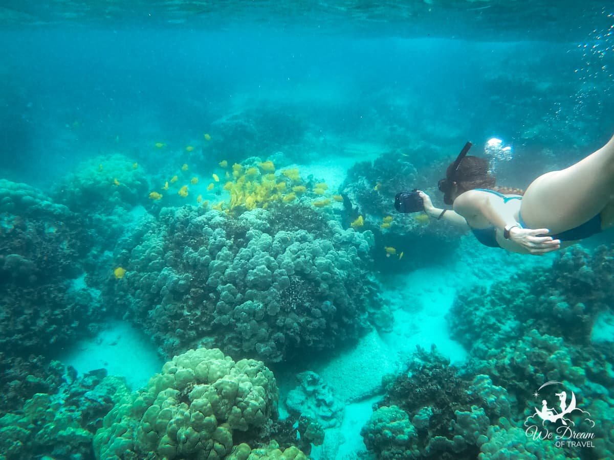 Underwater photo of a young female snorkeler photographing tang fish at Two Step.
