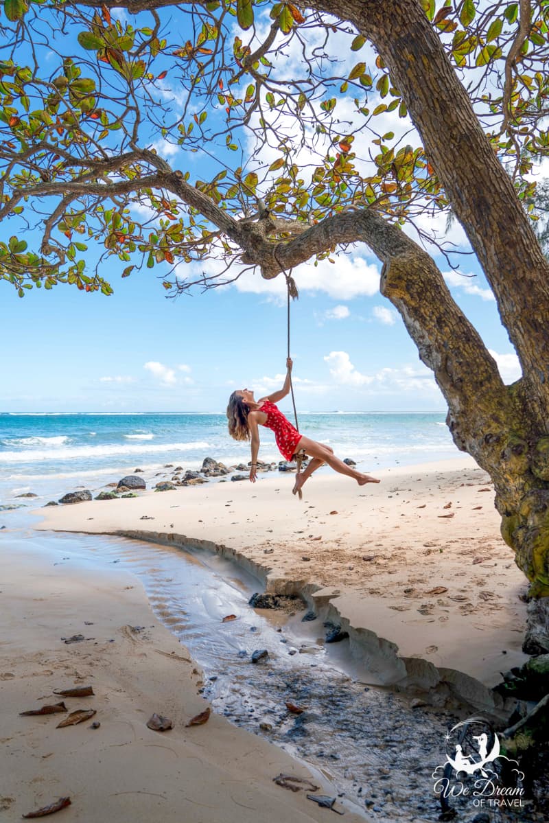 A girl in a red dress swings on a tree at a east shore beach on the Hawaiian Island of Oahu.