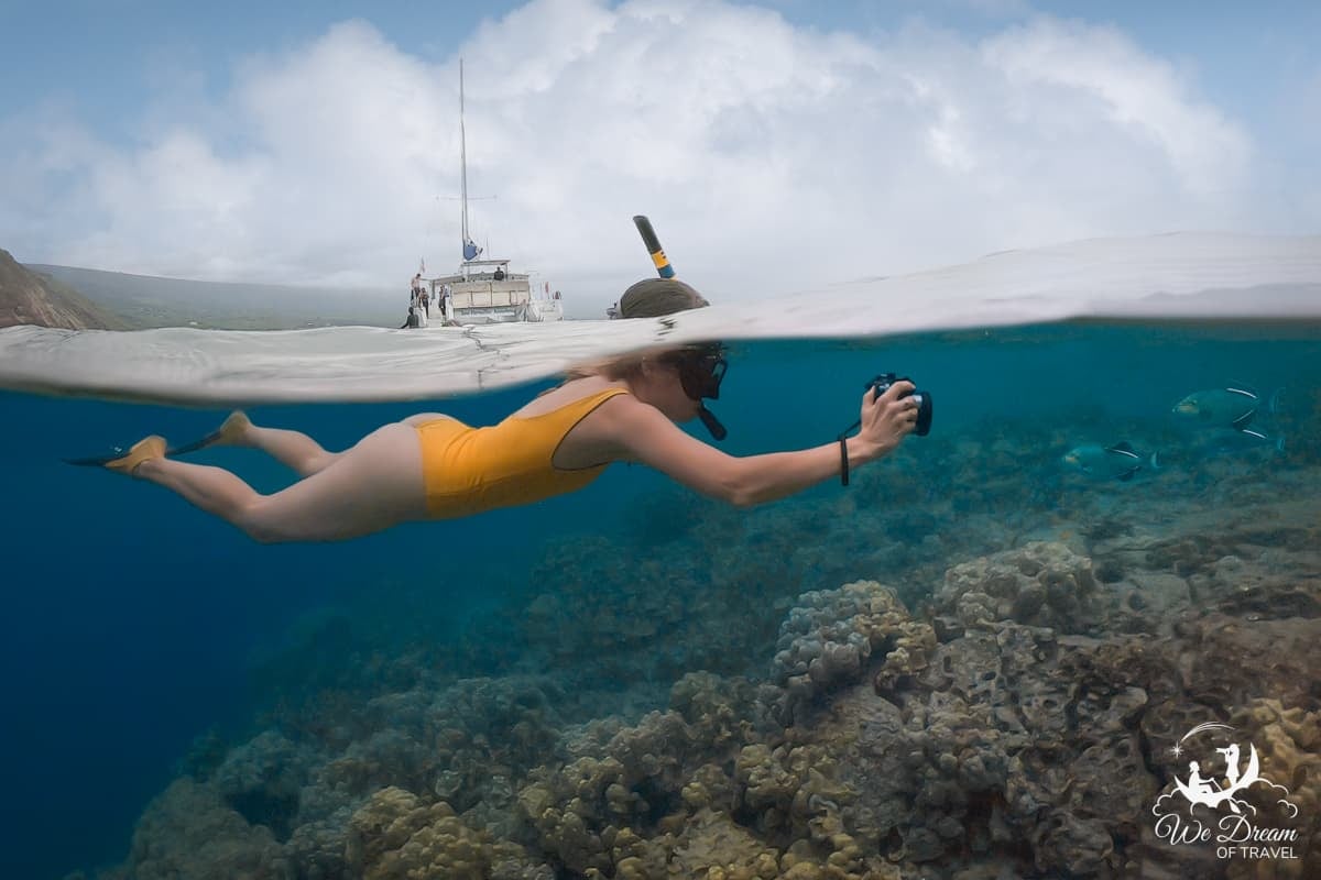 An over-under image of a woman taking a photo of triggerfish while snorkeling on the Big Island of Hawaii at Captain Cook Monument.