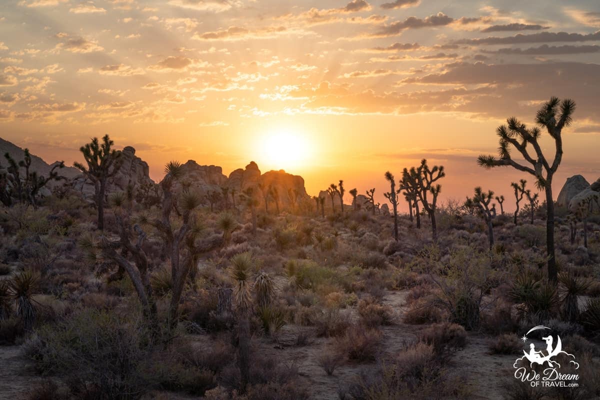 Golden hour lights the scenery at Hidden Valley to end a one day Joshua Tree itinerary.