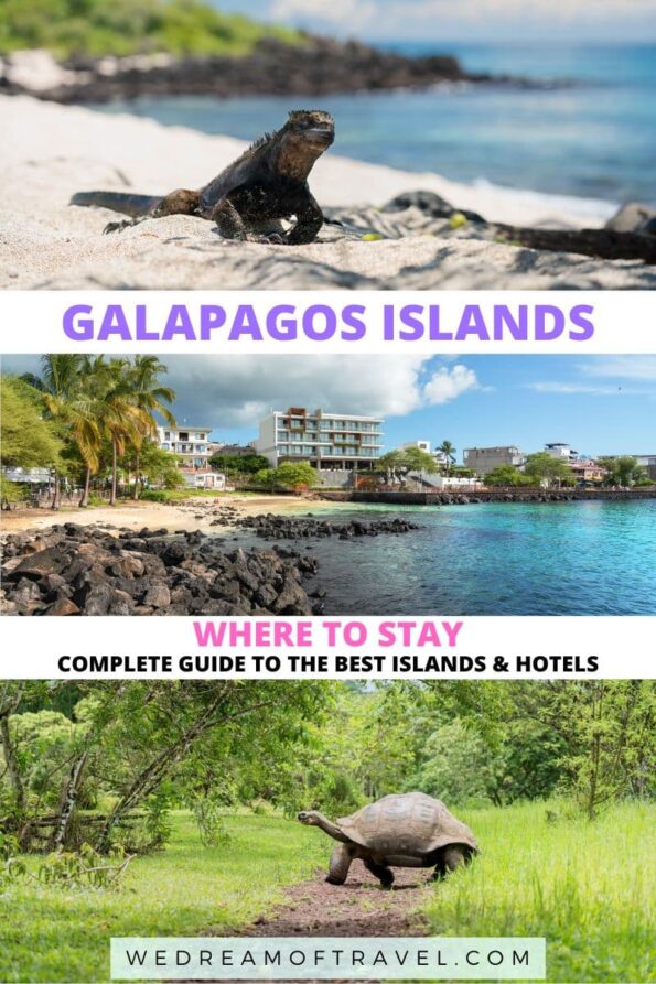 🏝 Where to Stay in Galapagos Best Islands, Areas & Hotels (2024)