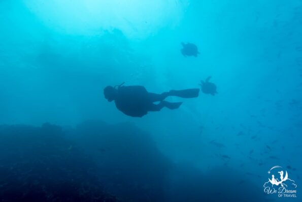 Gordon Rocks Dive 🐢 29 Best Galapagos Day Tours for an Epic Vacation (2024)