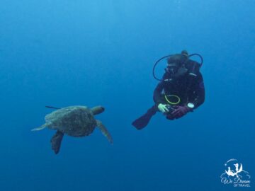 Gordon Rocks 🏝 Best Islands in the Galapagos to Stay On & Visit (2024)