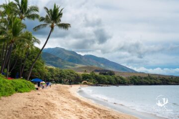 A palm tree leans over the beautiful Ka'anapali Beach with the West Maui Mountains standing tall in the background.