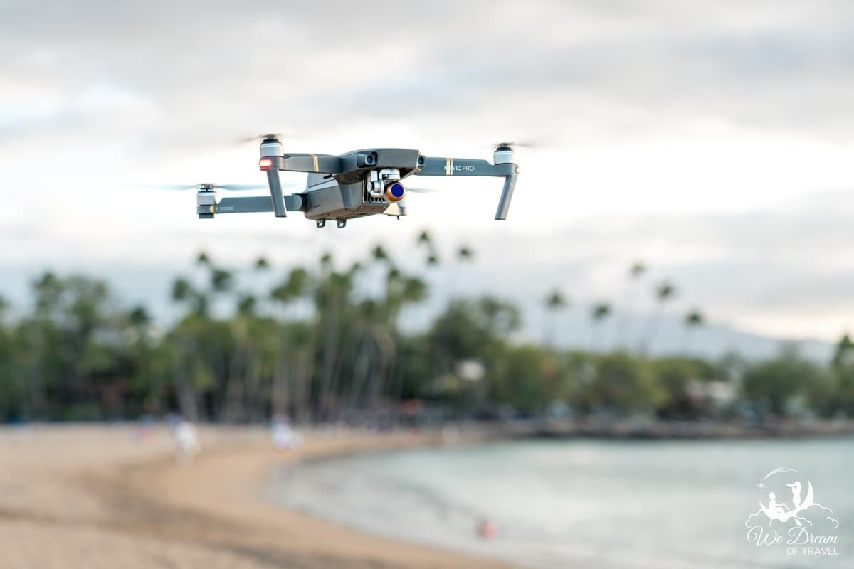 DJI Mavic Drone hovering in flight over a beach with a row of palm trees in the background.